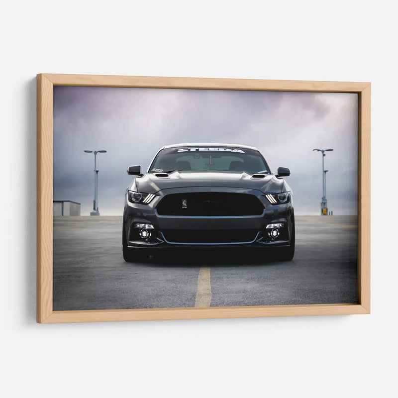Mustang Shelby Cobra negro | Cuadro decorativo de Canvas Lab