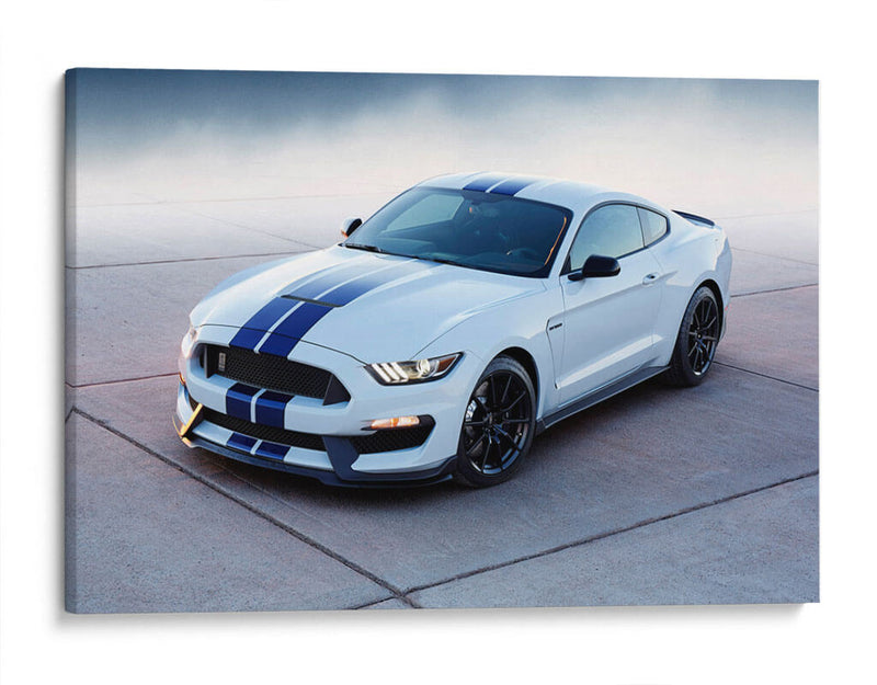 Mustang Shelby Cobra | Cuadro decorativo de Canvas Lab