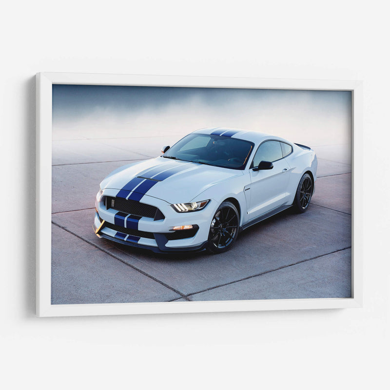 Mustang Shelby Cobra | Cuadro decorativo de Canvas Lab