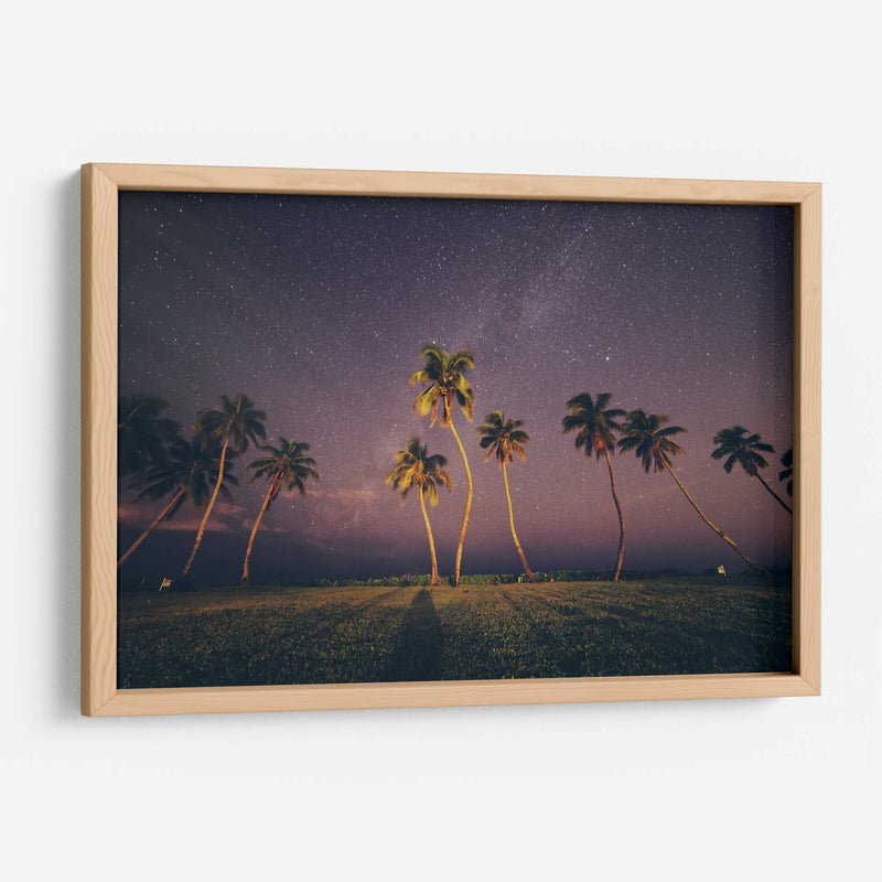 Noche estrellada con palmeras | Cuadro decorativo de Canvas Lab
