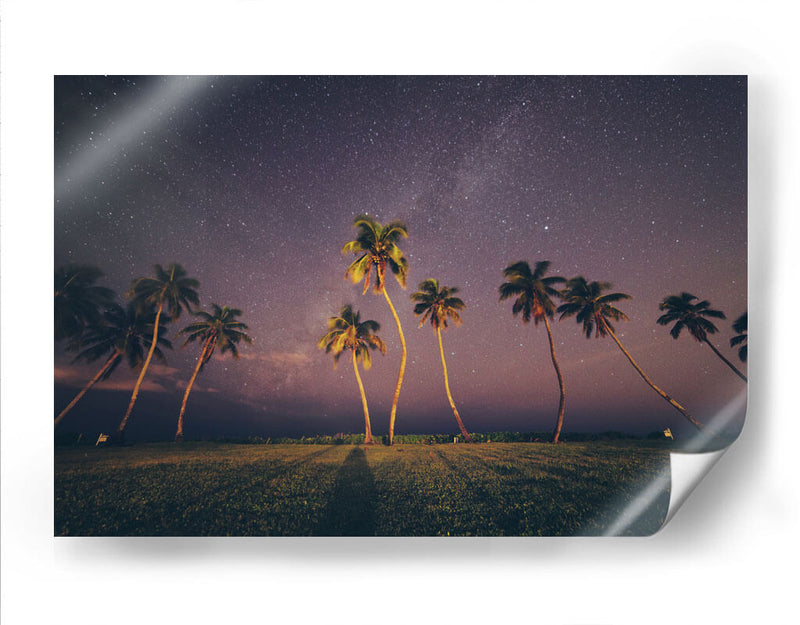 Noche estrellada con palmeras | Cuadro decorativo de Canvas Lab