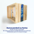 David y Goliat - Caravaggio