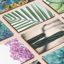 Kit de Collage Botánica