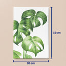 Kit de Collage Verde