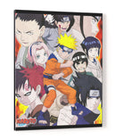 Mirada feroz - Canvas Lab