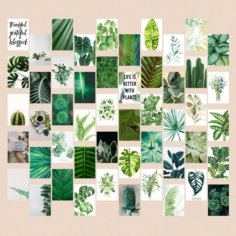 Kit de Collage Plantas