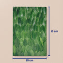 Kit de Collage Plantas