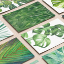 Kit de Collage Plantas