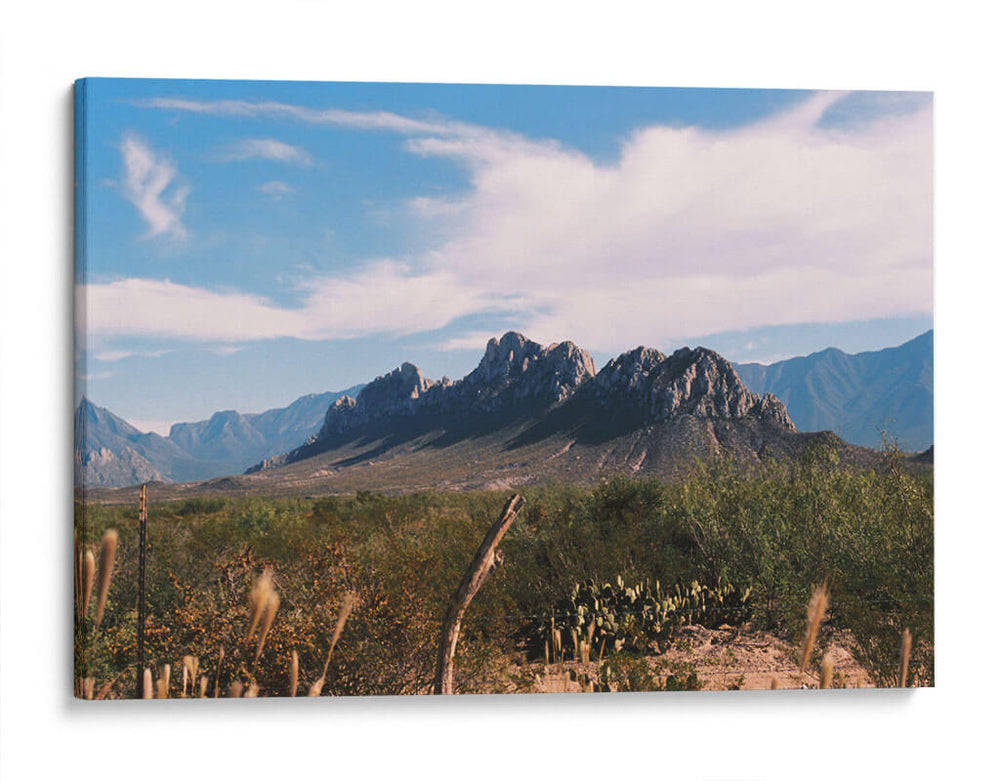 NUEVO LEÓN 2 - Ruta a la hacienda - Raúl Ruz - Canvas Lab