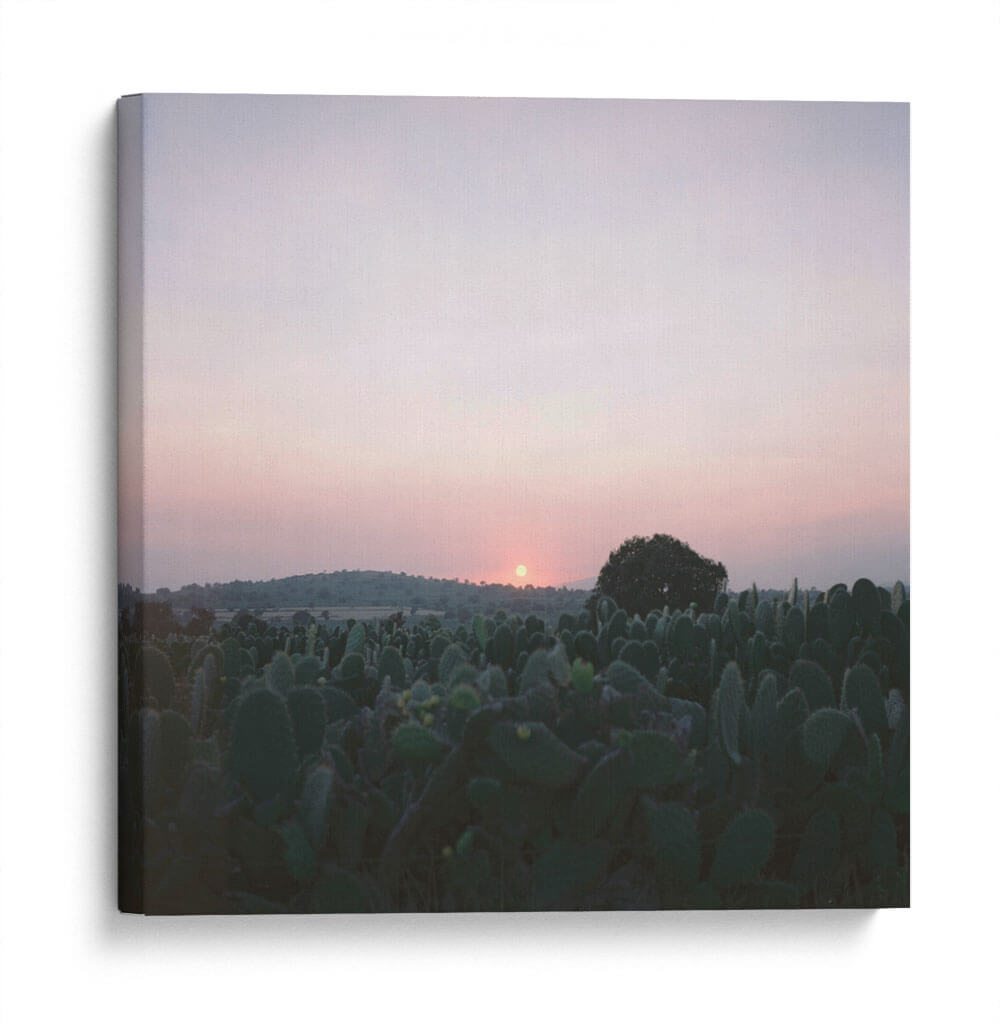PUEBLA - Valles de Puebla - Raúl Ruz - Canvas Lab