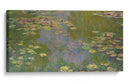 Water lillies - Claude Monet - Canvas Lab
